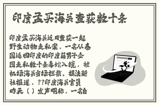 精品亚洲卡一卡2卡三卡乱码